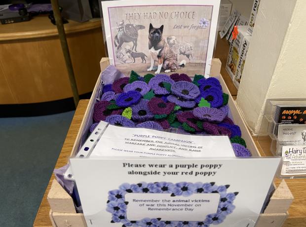 ‘Purple Poppy Campaign’ Wear yours with your Red Poppy to remember